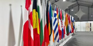 Insider: EU erwägt Sondergipfel wegen Grönland-Streit