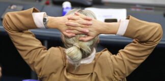 AfD-Chefin Weidel fordert im Grönland-Konflikt Gelassenheit