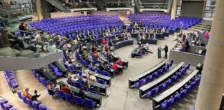 Grüne unterstützen Verschärfung des Abgeordnetengesetzes