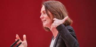 EU-Parlamentsvize will europäische Ermittlungen zu Epstein-Akten