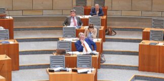 AfD-Landtagsabgeordnete beschäftigen besonders viele Mitarbeiter