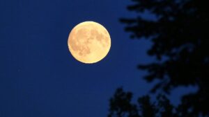 Nasa verschiebt Mondmission wegen Raketenproblemen erneut