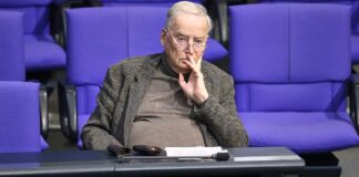 Gauland verteidigt AfD gegen Filz-Vorwürfe