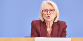 Schnitzer: Schwarzarbeiter zu gemeinnütziger Arbeit verpflichten