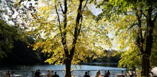 Frühling in Berlin Biergärten in Berlin: Augustiner und Fischerhütte starten Saison Fischerhütte am Schlachtensee Biergarten Herbst Charlott Cobler